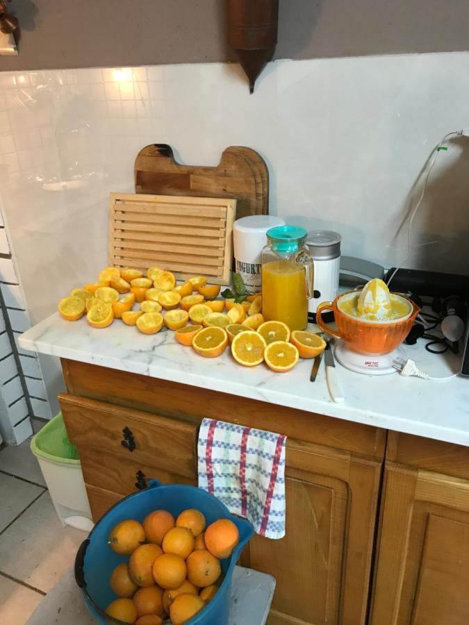 Agriturismo Cantina Morone Guardia Sanframondi Εξωτερικό φωτογραφία